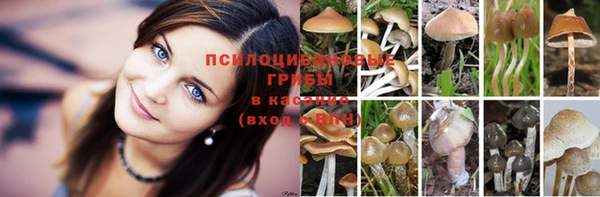 mix Бородино