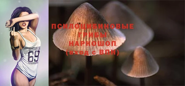 прущая мука Бронницы