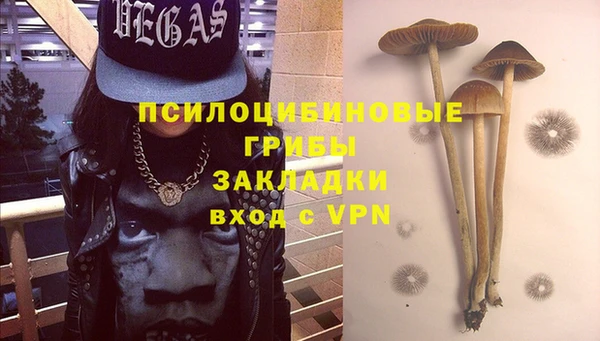 дживик Верхний Тагил