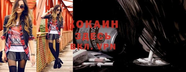 mix Бородино